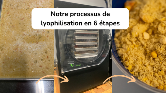 Le processus de la lyophilisation expliqué en 3 images: produit frais, on le met au lyophilisateur et tout est sec par la suite