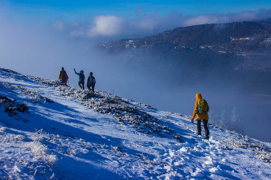 Randonnée hivernale: 5 items intéressants